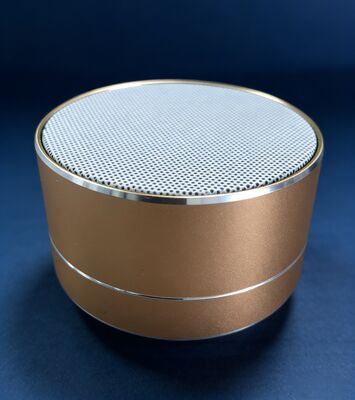 Profesjonalny bezprzewodowy przenośny głośnik Bluetooth DC5V 1A z radiem FM