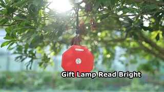 Lampa prezentowa, lampka do czytania